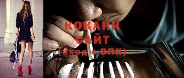 шишки Балабаново
