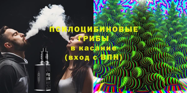 шишки Балабаново