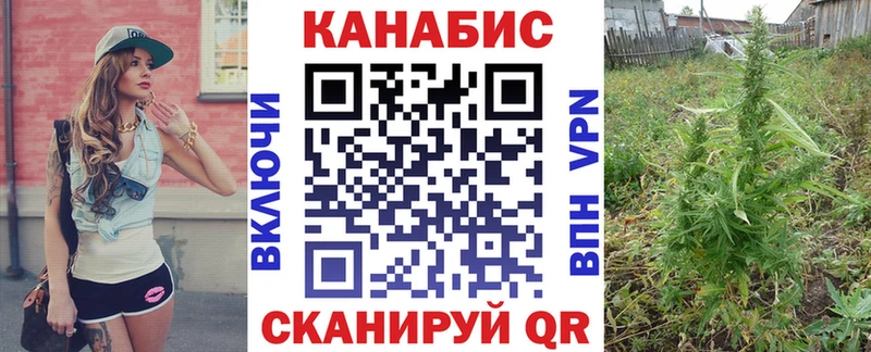 Бошки Шишки Amnesia  Купить где  Саяногорск 